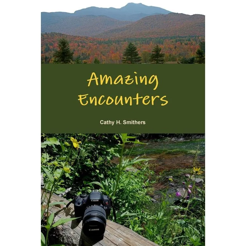 Amazing Encounters