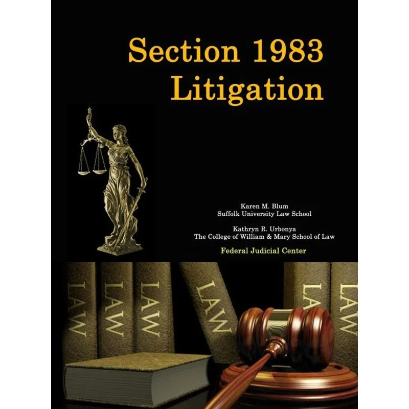 Section 1983 Litigation