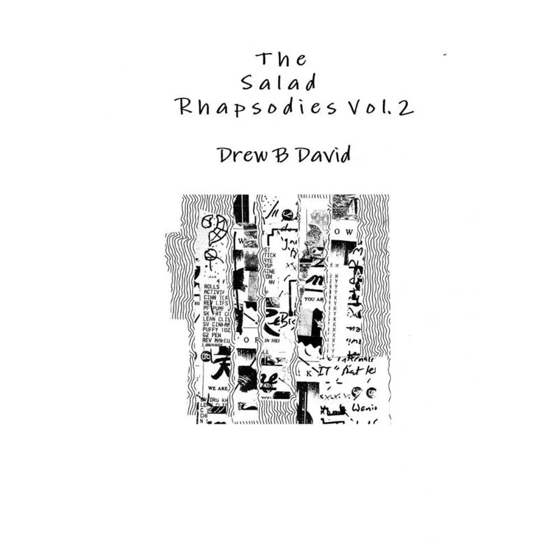 The Salad Rhapsodies Vol. 2