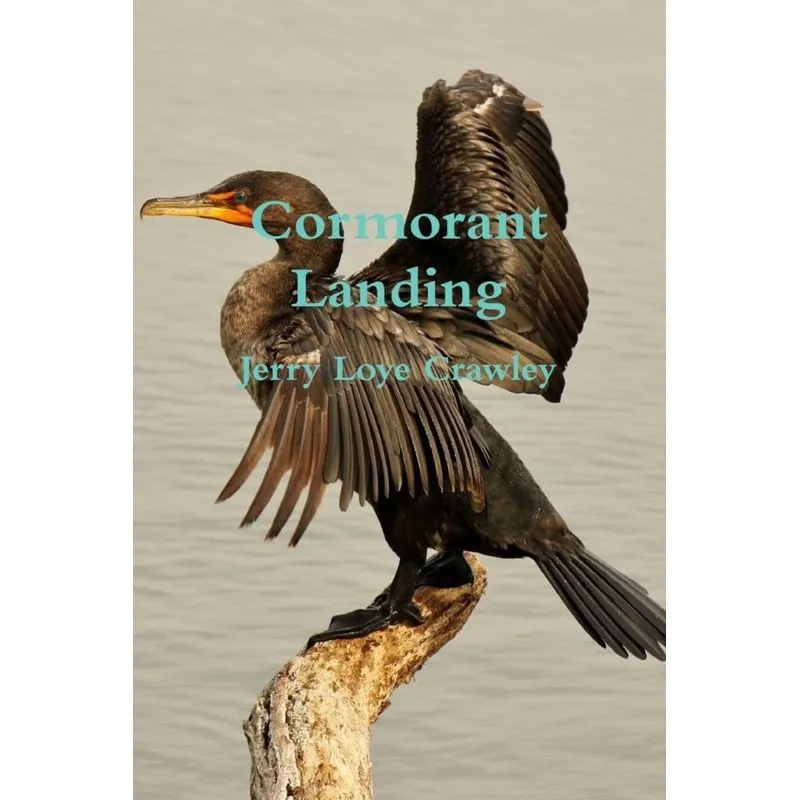 Cormorant Landing