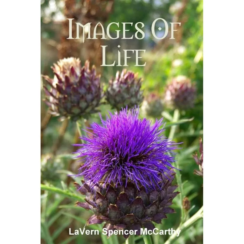 Images Of Life