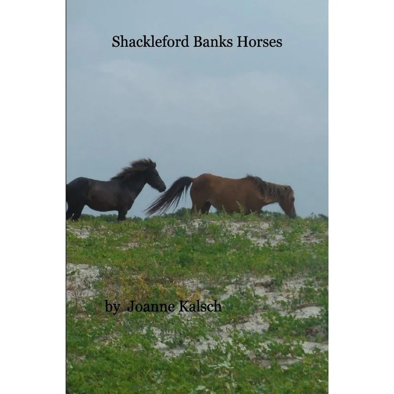 Shackleford Banks Horses