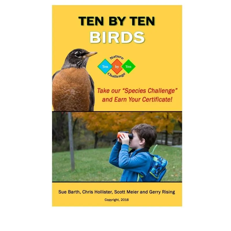 Ten by Ten Birds