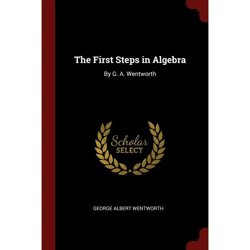 The First Steps in Algebra