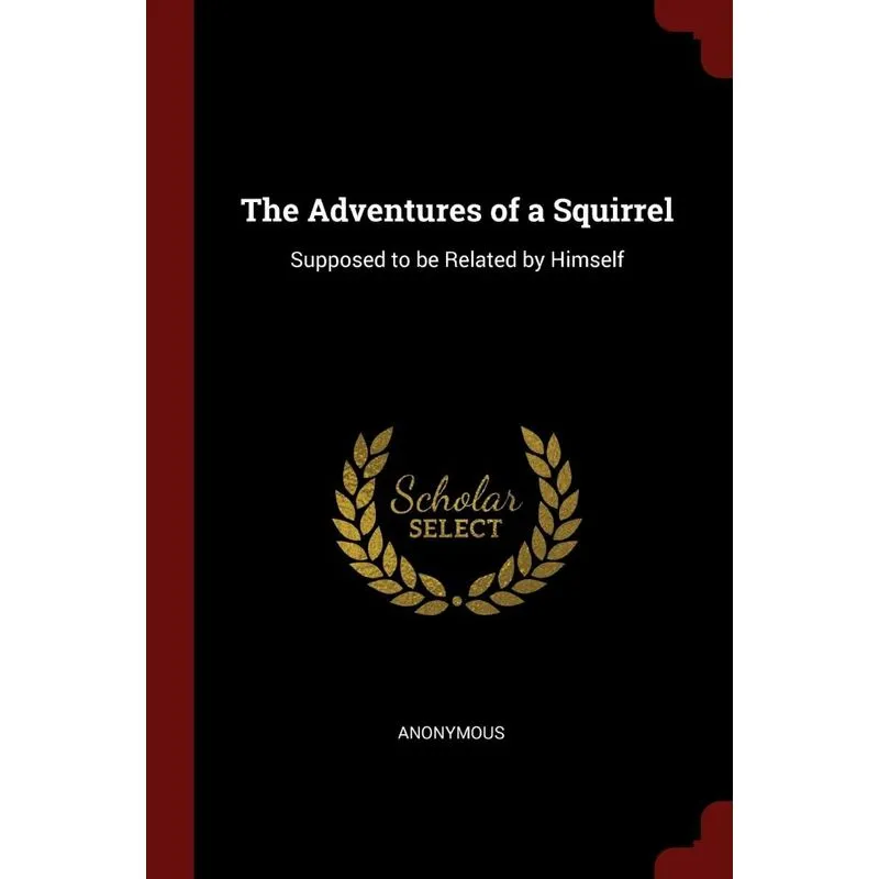 The Adventures of a Squirrel