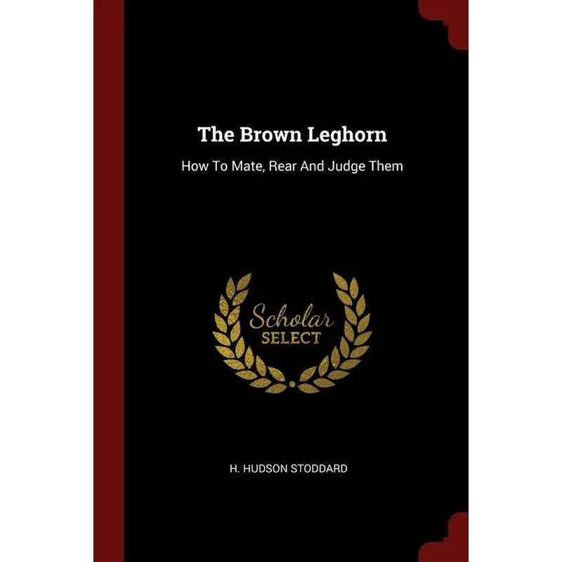 The Brown Leghorn