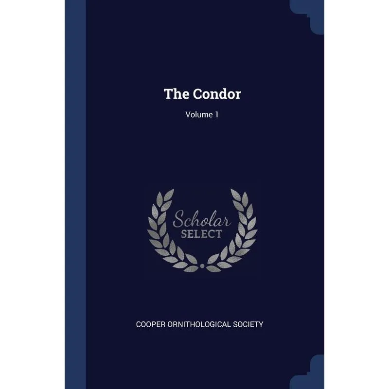 The Condor, Volume 1