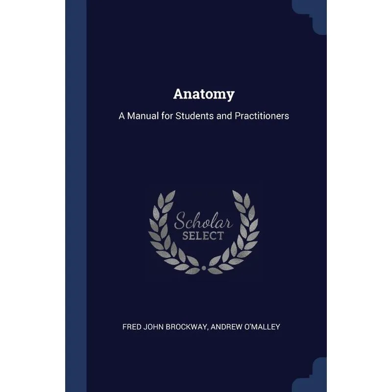 Anatomy