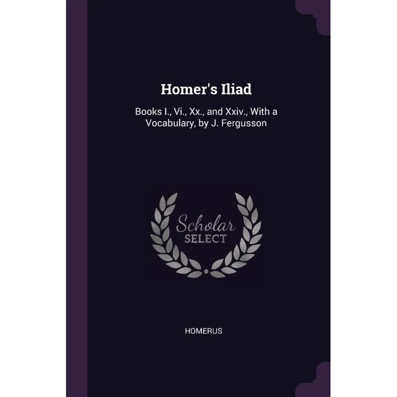 Homers Iliad