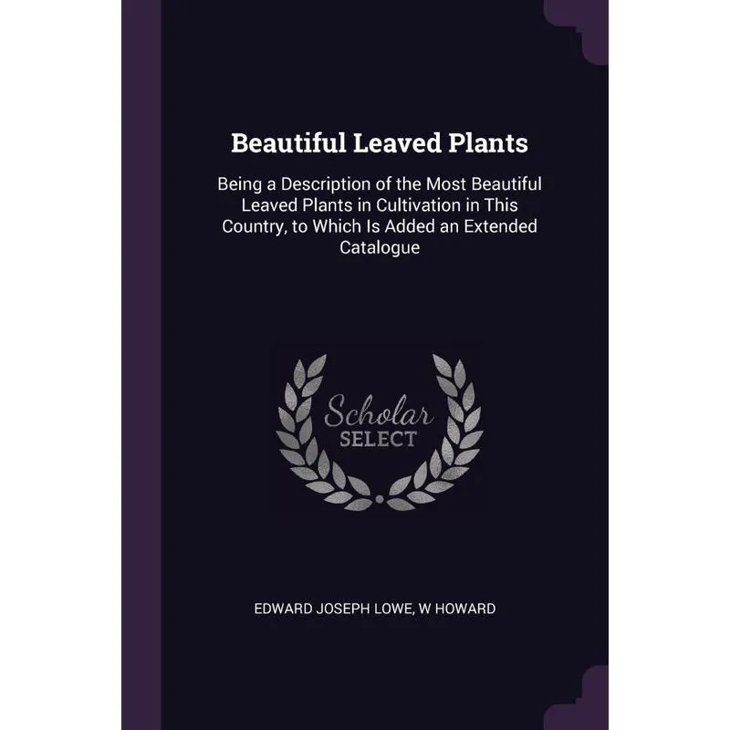 Beautiful Leaved Plants