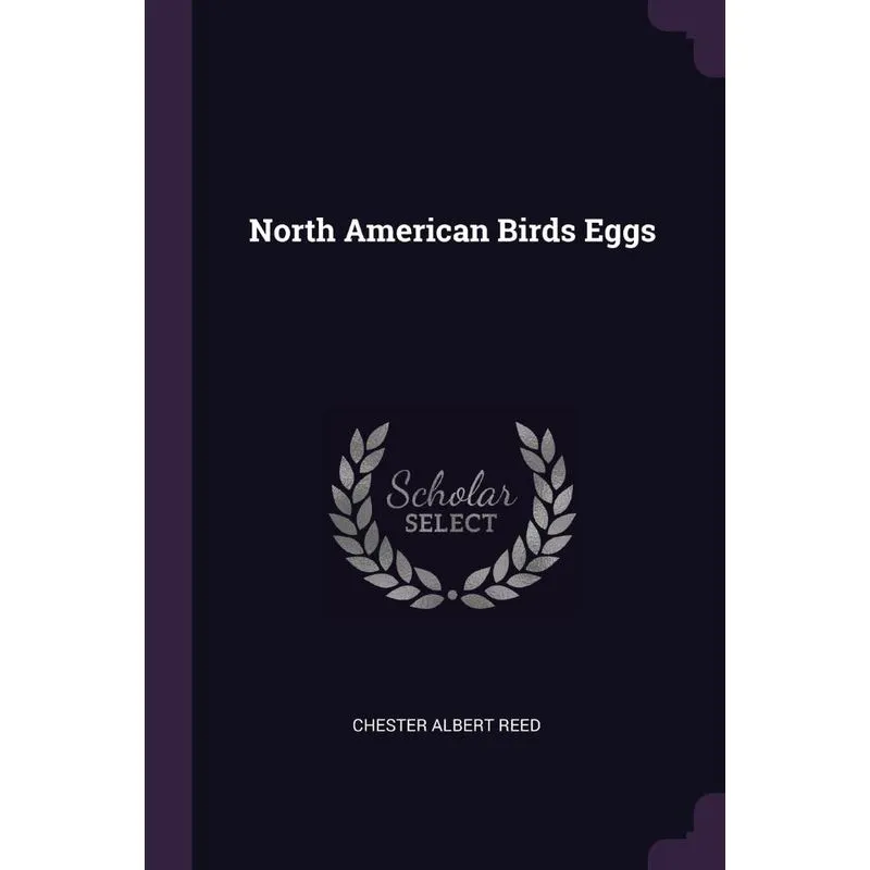North American Birds Eggs