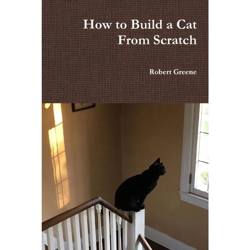 How to Build a Cat From Scratch