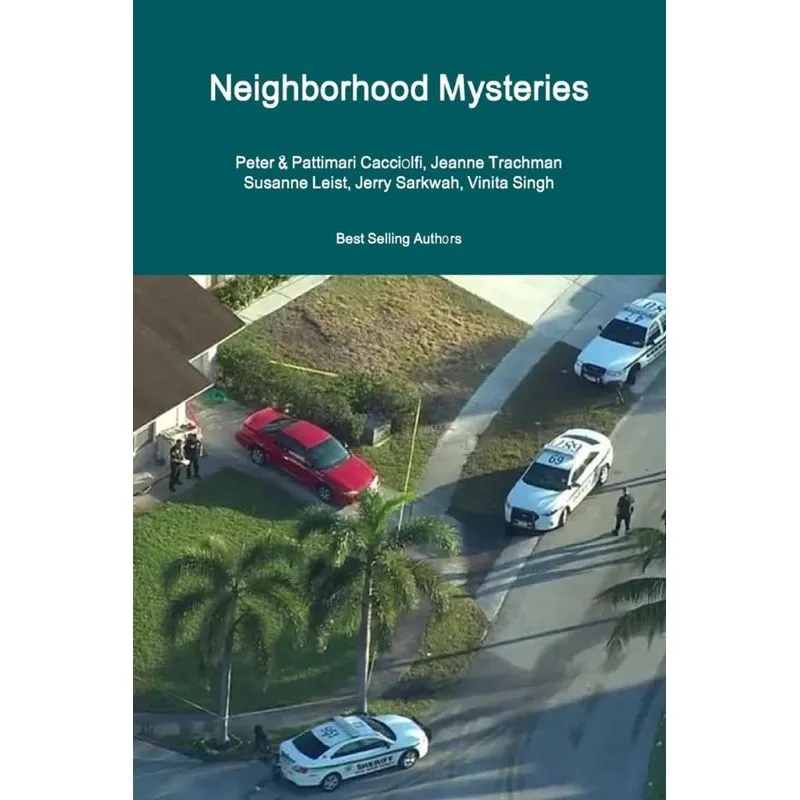 Neighborhood Mysteries