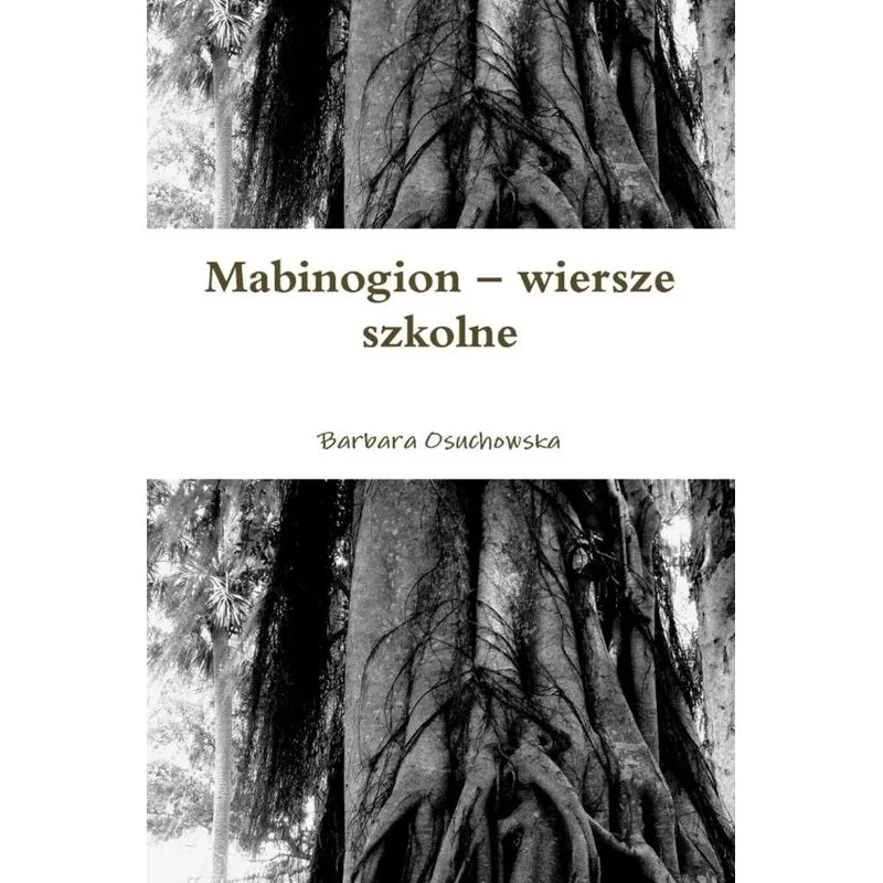 Mabinogion - wiersze szkolne