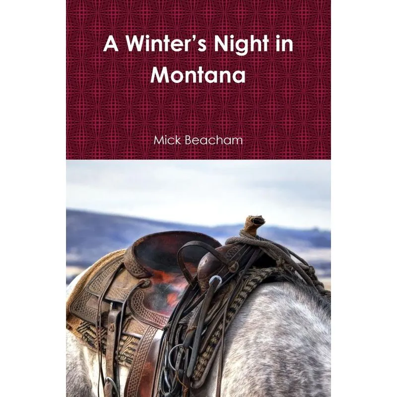 A Winters Night in Montana