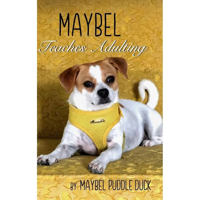 Maybel Teaches Adulting