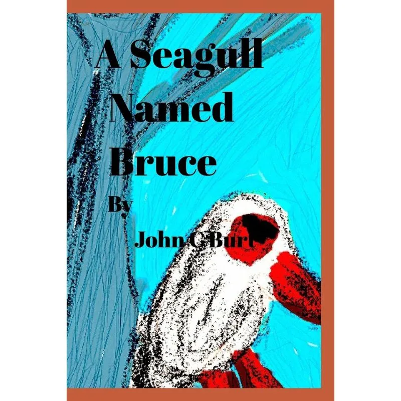 A Seagull Named Bruce.