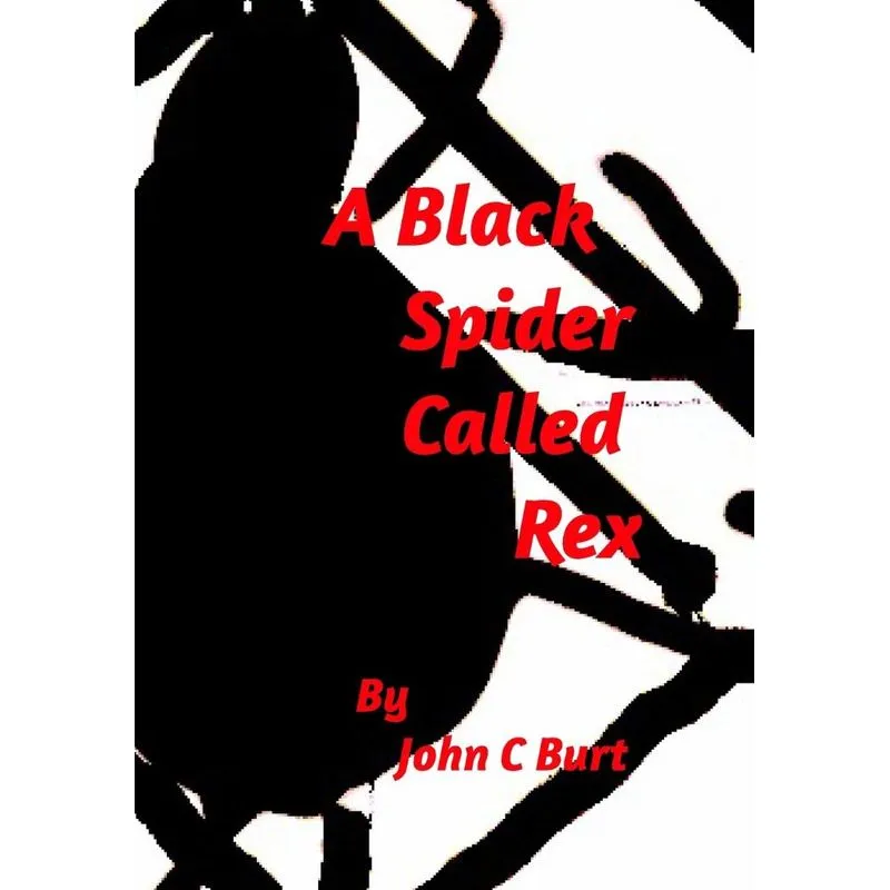A Black Spider Called Rex.
