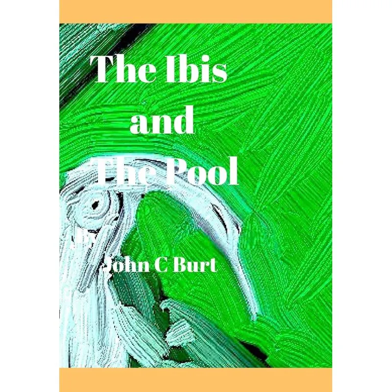 The ibis and The Pool.
