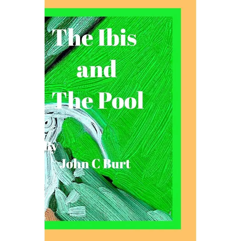The ibis and The Pool.
