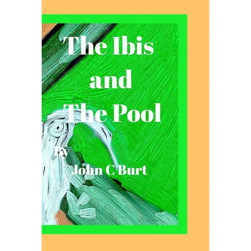 The ibis and The Pool.