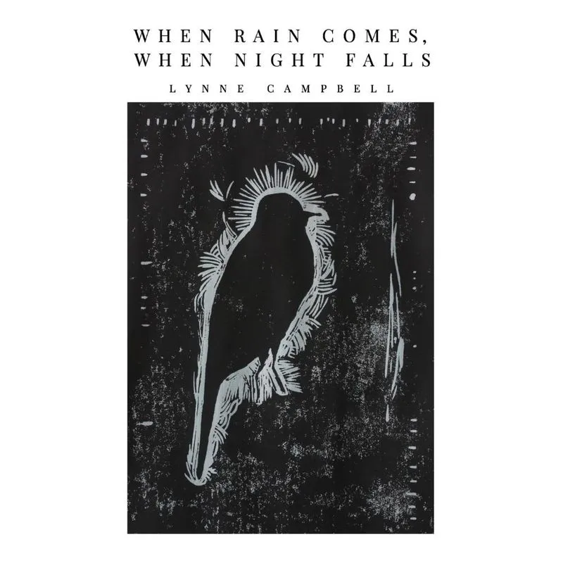 When Rain Comes, When Night Falls