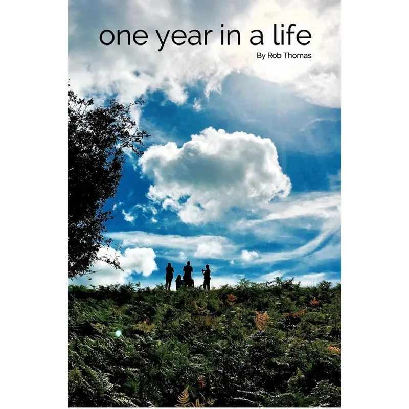 One year in a life