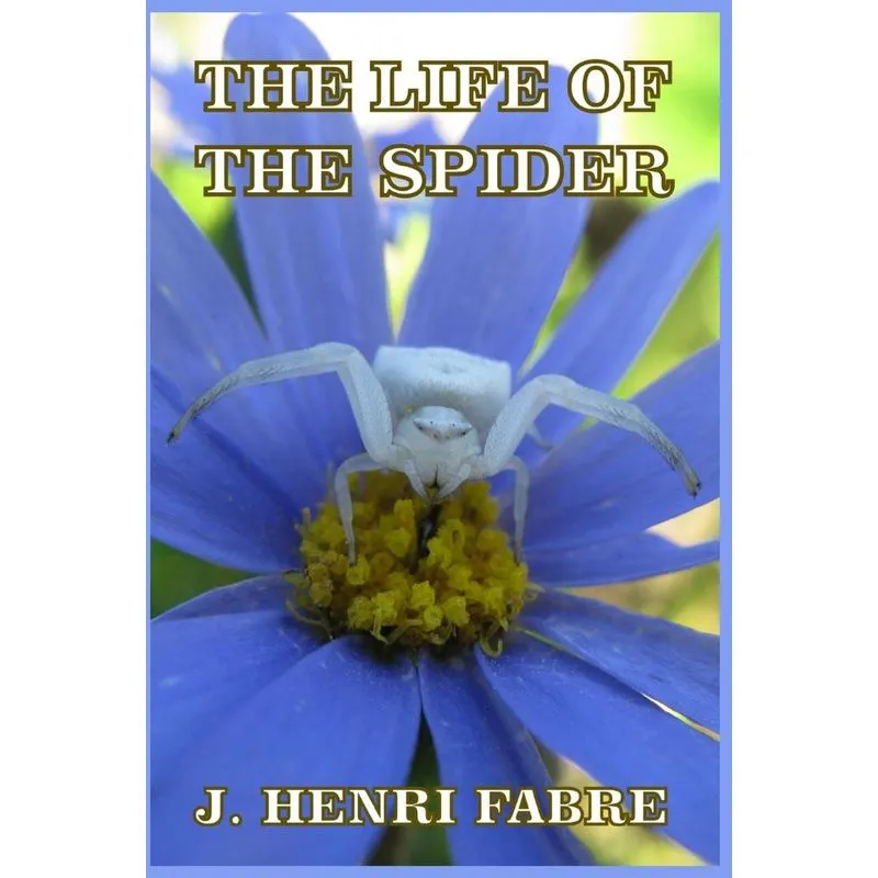 The Life of the Spider