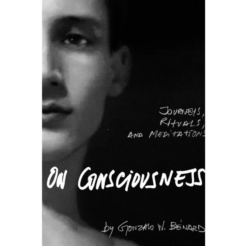 On Consciousness