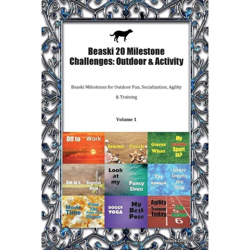 Beaski 20 Milestone Challenges