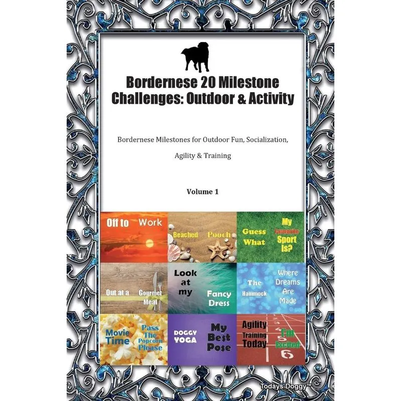 Bordernese 20 Milestone Challenges