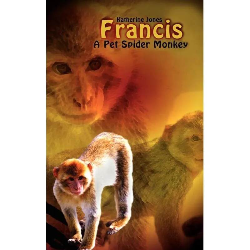 Francis, A Pet Spider Monkey