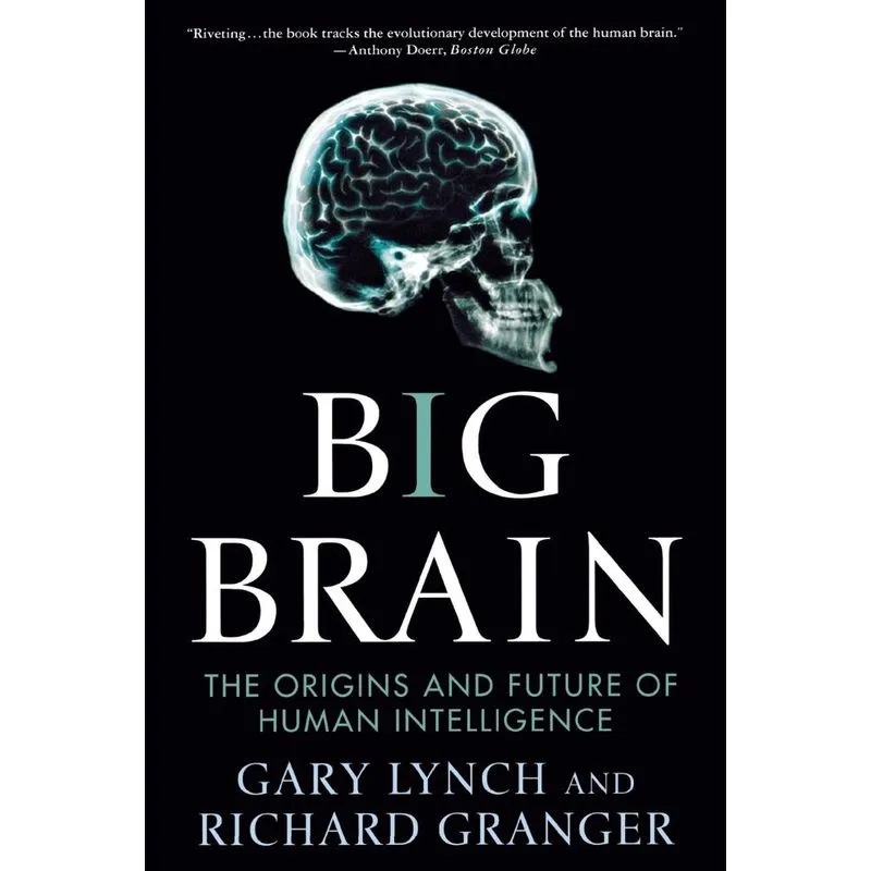 BIG BRAIN