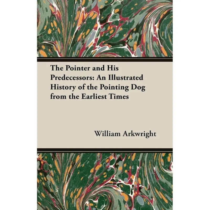 The Pointer and His Predecessors