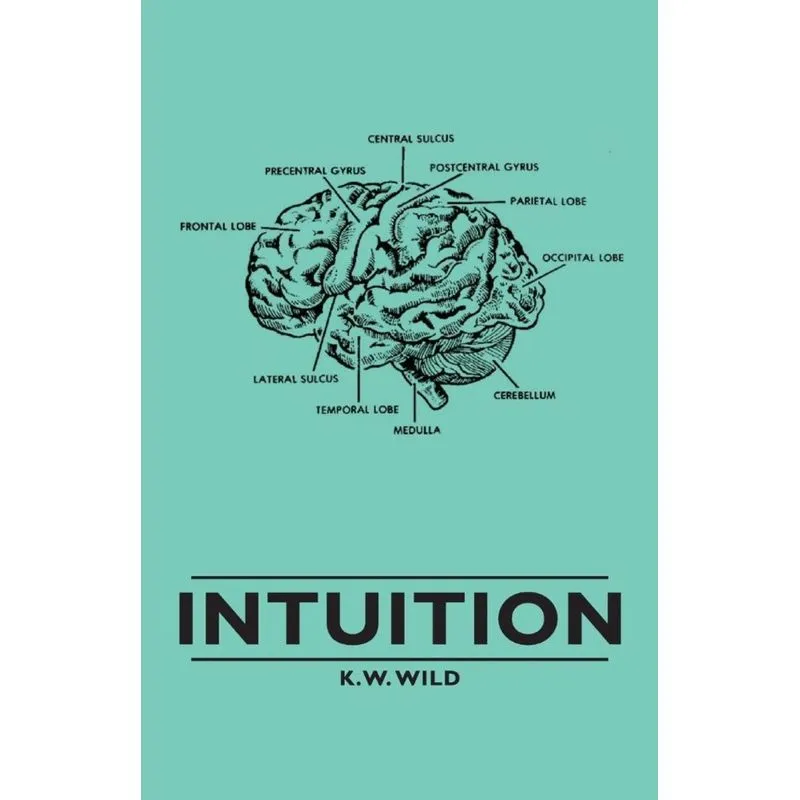 Intuition