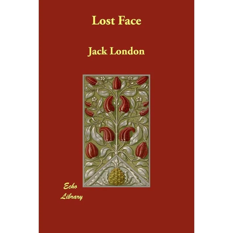 Lost Face
