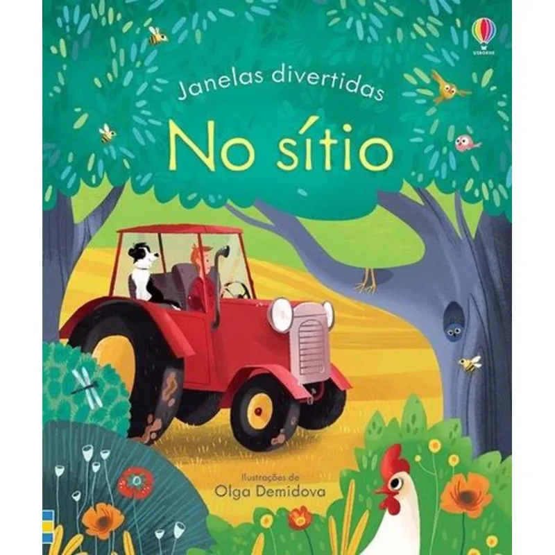 Janelas Divertidas - no Sitio