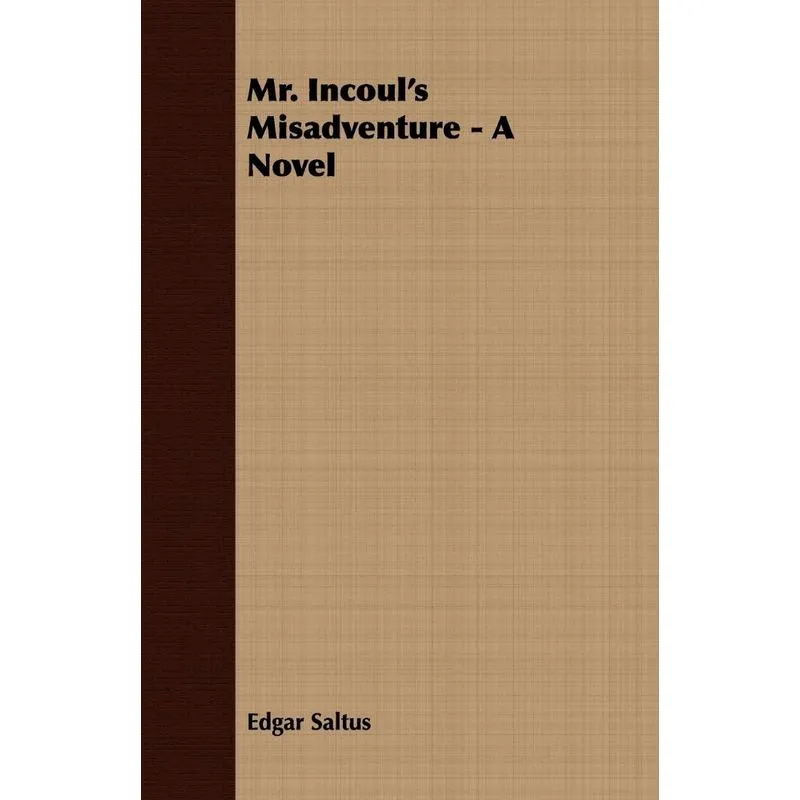 Mr. Incouls Misadventure - A Novel