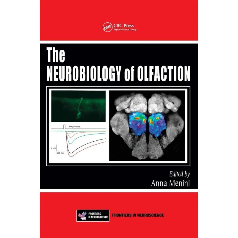 The Neurobiology of Olfaction