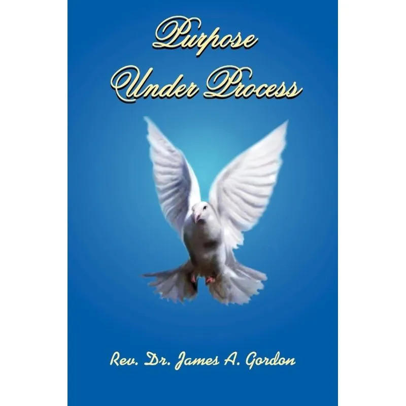 Purpose Under Process