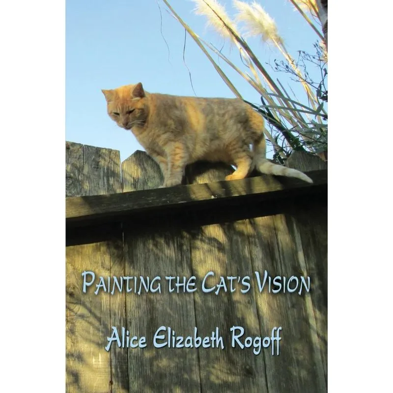 Painting The Cats Vision