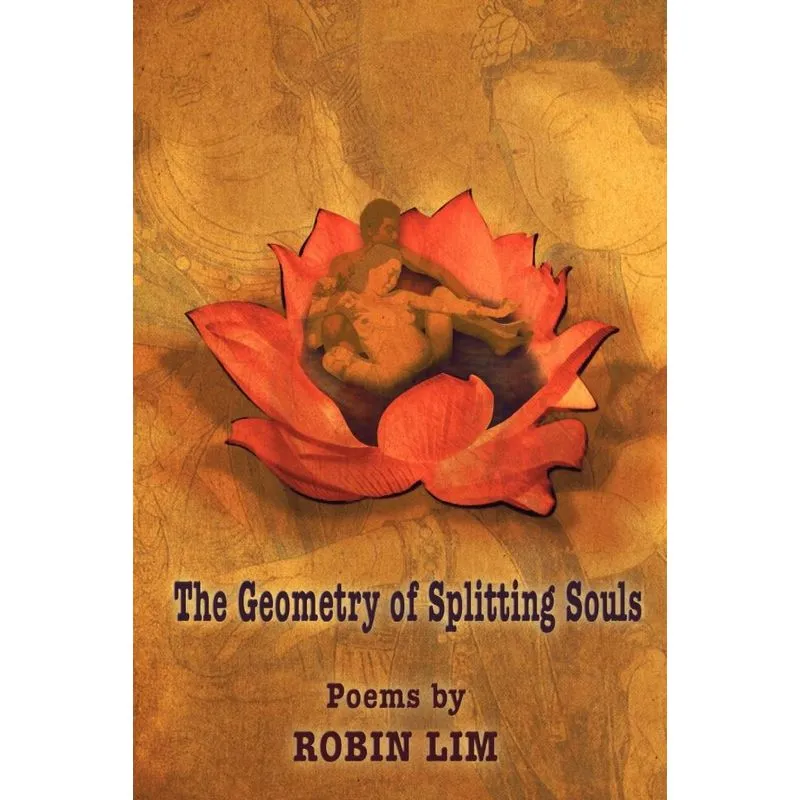 THE GEOMETRY OF SPLITTING SOULS