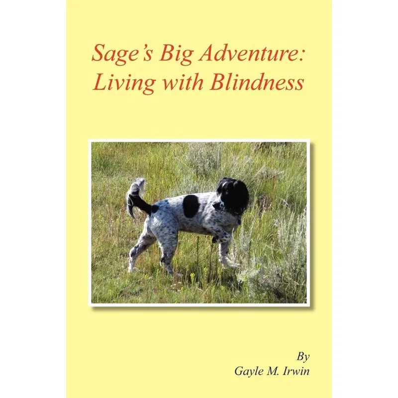 Sages Big Adventure