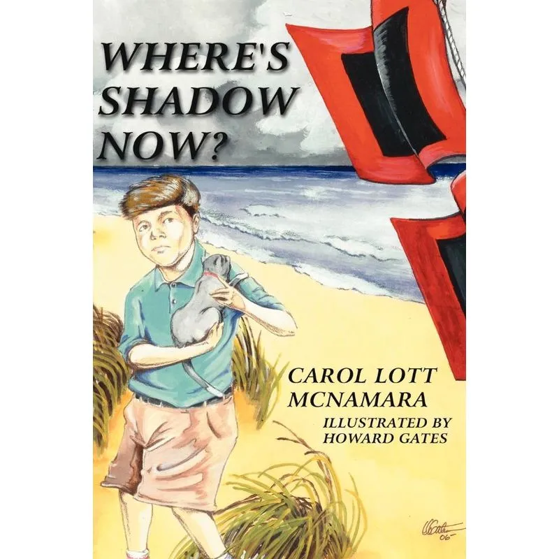 Wheres Shadow Now?