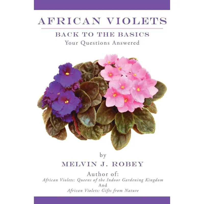 African Violets Back to the Basics