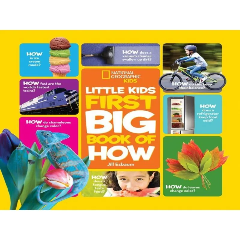 LITTLE KIDS FIRST BIG BOOK OF HOW