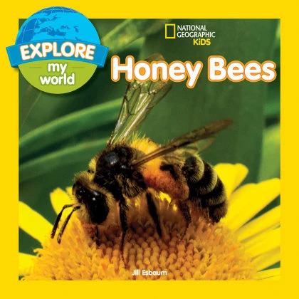 Explore My World: Honey Bees STANDARD