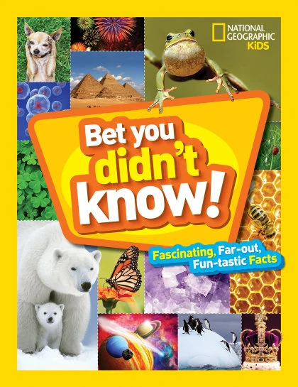 Bet You Didn't Know STANDARD