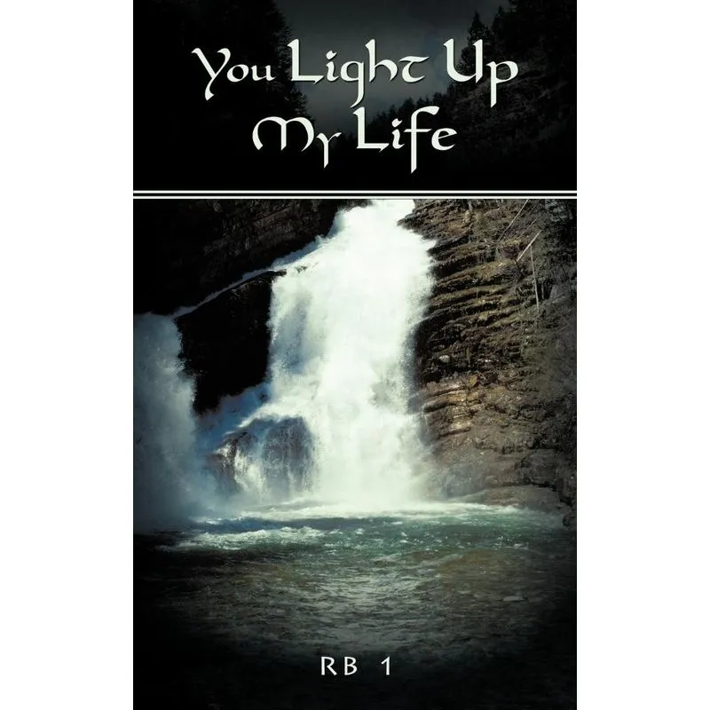 You Light Up My Life
