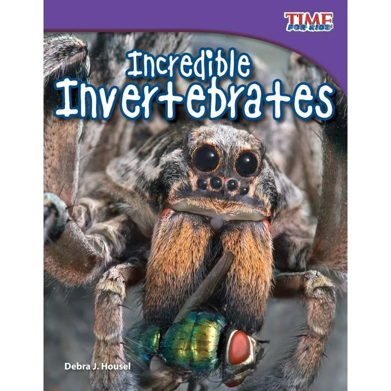 Incredible Invertebrates
